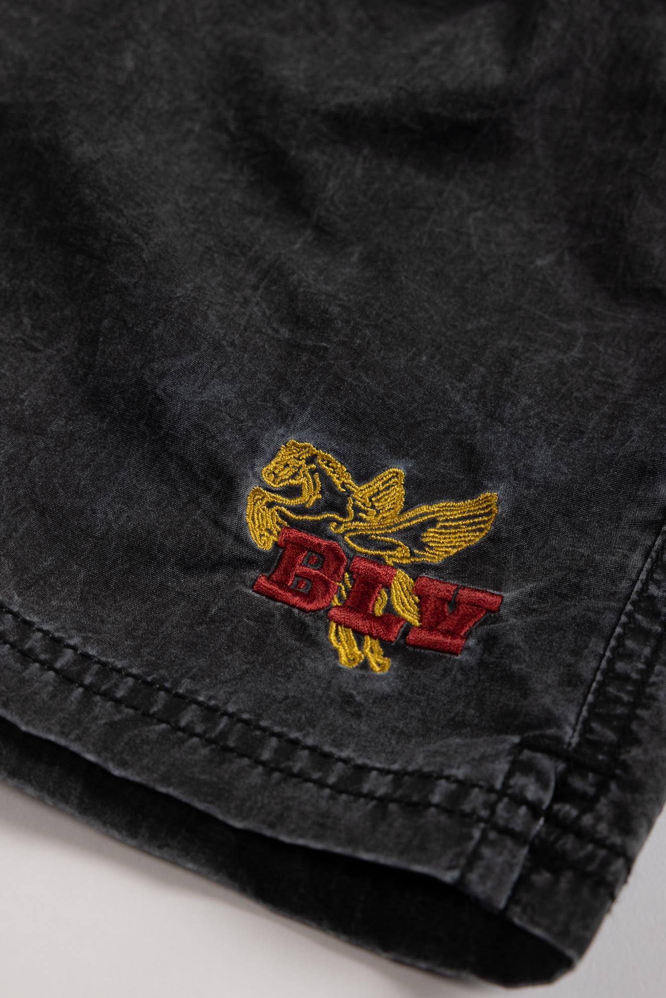 TRAJE DE BAÑO PEGASUS