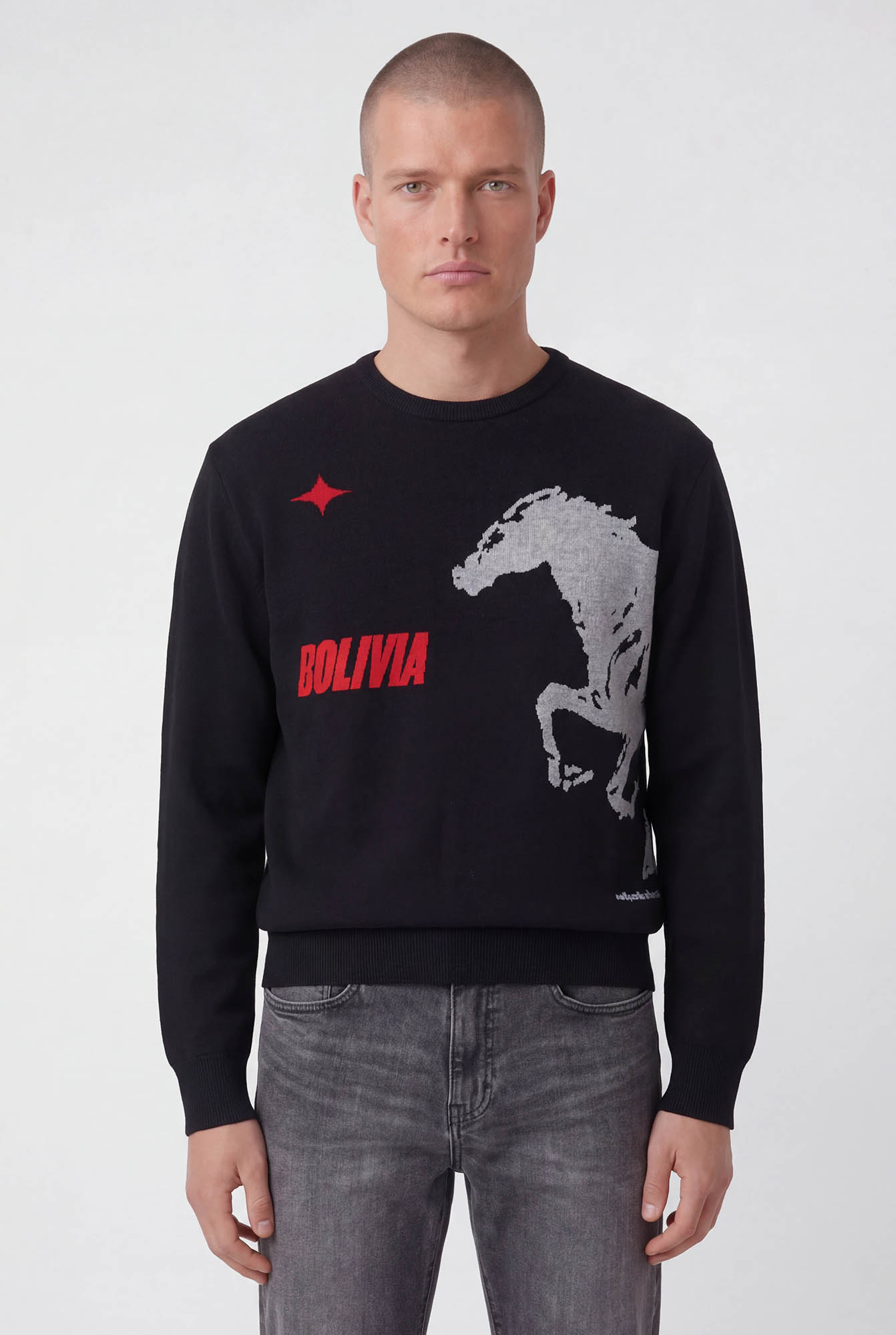 SWEATER JACQUARD CABALLO