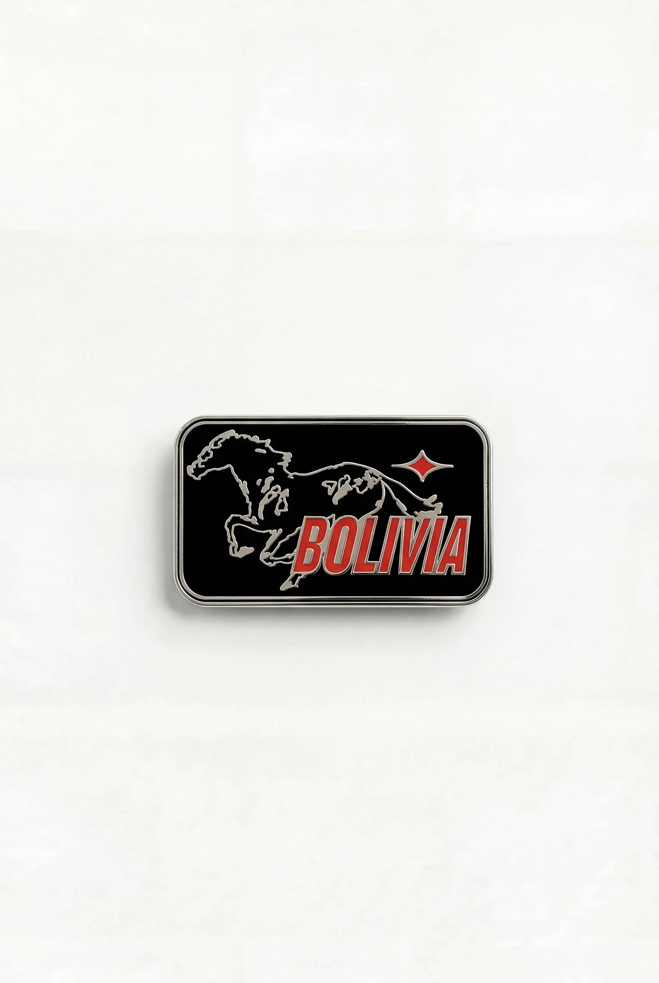 PIN CABALLO