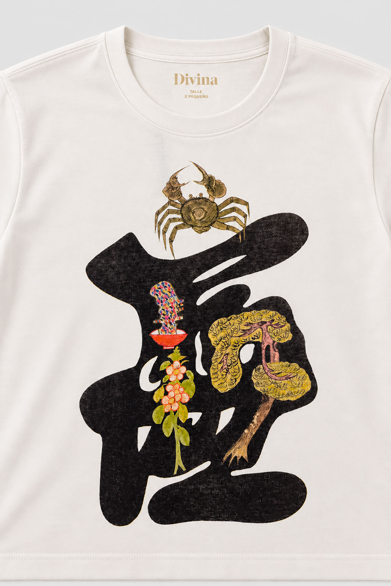 DS2700004-00 - REMERA FORTUNA